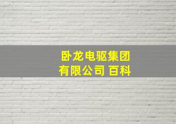 卧龙电驱集团有限公司 百科